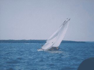 Pic - Higgins Lake 2