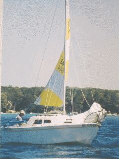 Pic - Higgins Lake 3