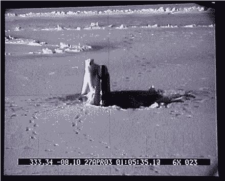 {short description of image}