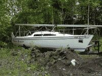 {short description of image}Pic-OwnerAM